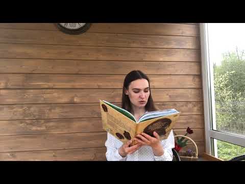 Сегодня мы продолжим знакомиться со сказками народов России. 